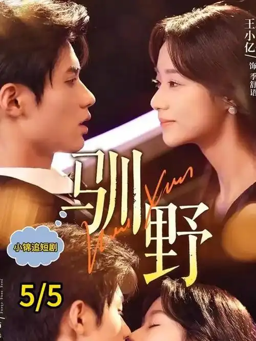 沉默的证词 刑侦悬疑剧全集免费观看